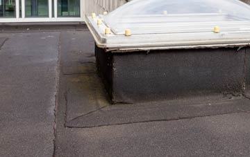 disadvantages of Turgis Green flat roofs